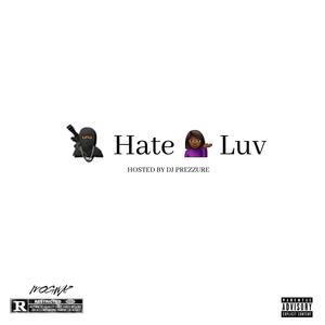 NIGGAS HATE HOES LUV (Explicit)