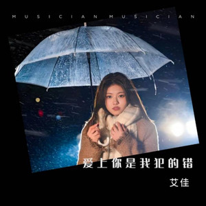 爱上你是我犯的错一伴奏