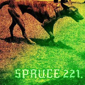 SPRUCE 221. (feat. DANNYMURDAA)