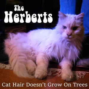 Cat Hair Doesn't Grow on Trees