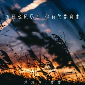 落日晚风尽头 你有的是自由