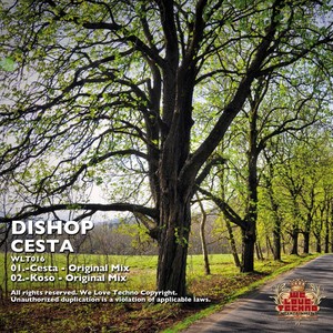 Cesta