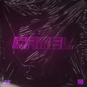 Camel (Explicit)