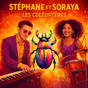 Les coléoptères (Explicit)