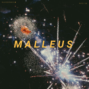 Malleus