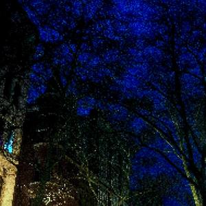 snowfall (feat. Taylynne)