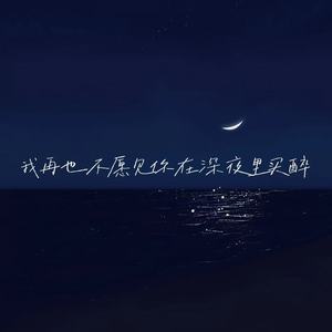 我再也不愿见你在深夜里买醉