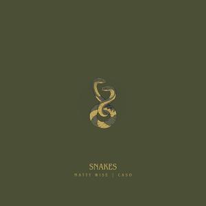 Snakes (feat. CASO) (Explicit)