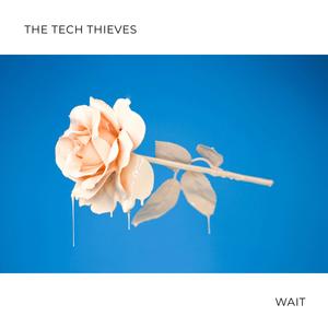 Wait-The Tech Thieves