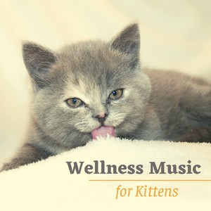 Wellness Music for Kittens - Relaxing Music for Healthy Skin and Coat