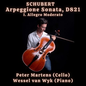 Arpeggione Sonata , D.821, I. Allegro Moderato