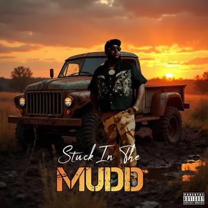 Stuck In The Mudd
