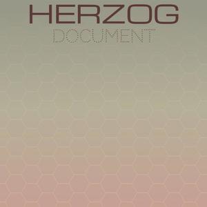 Herzog Document