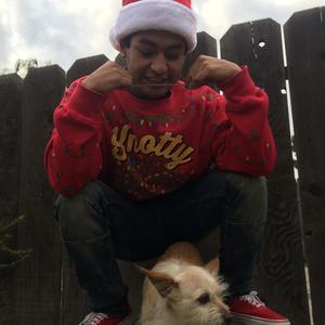 Mistletoe