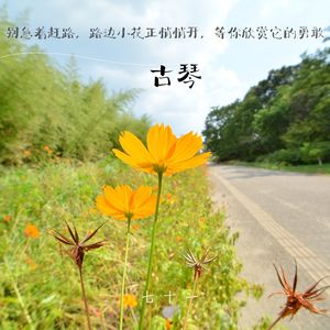 微笑贩卖机-古琴