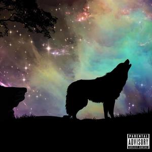 Wolf'n (feat. JayJames) [Explicit]