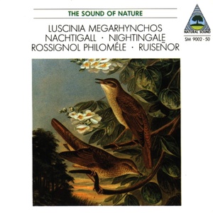 Natural Sound: Nachtigall / Nightingale