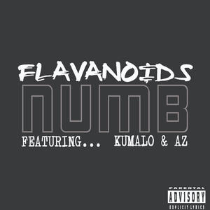 Numb (feat. Kumalo & AZ) [Explicit]