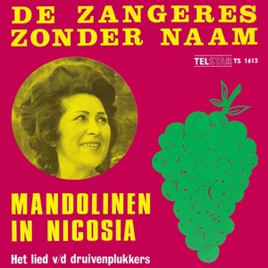 Mandolinen in Nicosia