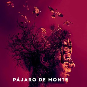 pájaro de monte