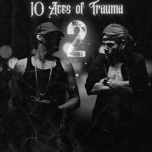 10 Aces of Trauma: 2 (Explicit)