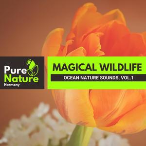 Magical Wildlife - Ocean Nature Sounds, Vol.1