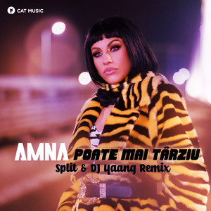 Poate mai târziu (SPLIT x Dj Yaang Remix)