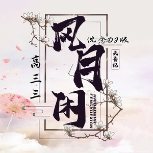 风月闲·DJ版-沈念