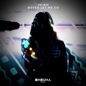 Never Let Me Go (Original Mix)