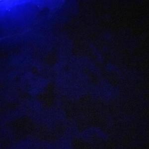 Song 10 (feat. Nothing in Common)