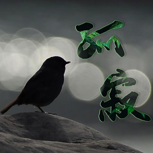 2021 孤寂 DJ 车载DJ