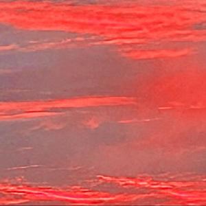 rise of the mourning son. (Explicit)