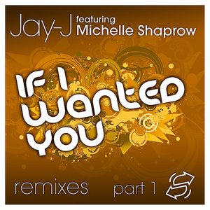 If I Wanted You Remixes, pt 1