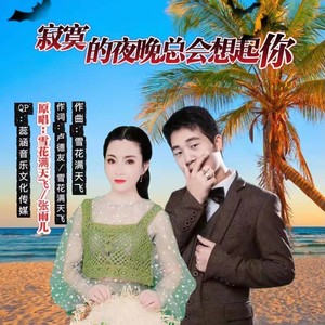 寂寞的夜晚总会想起你 (合唱版)