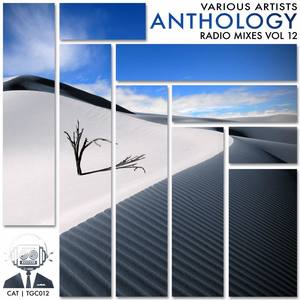 Anthology Radio Mixes, Vol. 12