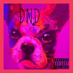 DND (Explicit)