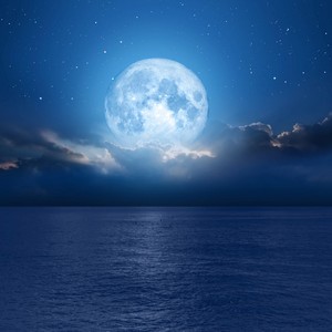 Dreamy Music for Tranquil Nights