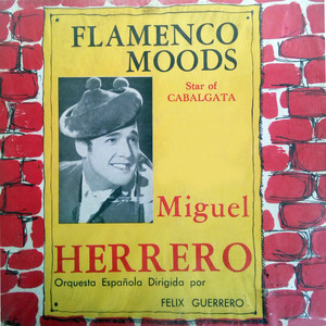 Flamenco Moods