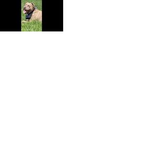 FIRTINA (YUKARI) (Explicit)