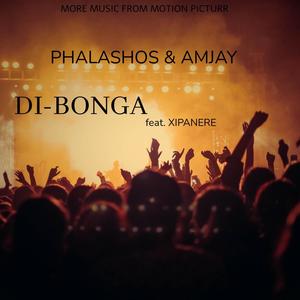 DI-BONGA (feat. Xipanere & Amjay)