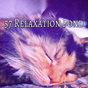 57 Relaxation Pond