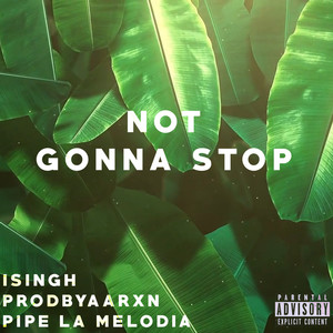 Not Gonna Stop (Explicit)