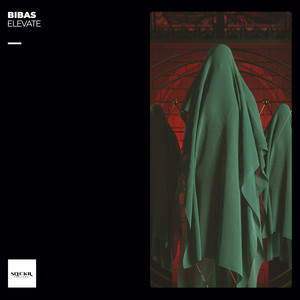 Elevate (Extended Mix)