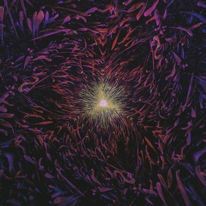 Embrace The Catastrophe