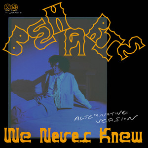 We Never Knew (Alternative Version)