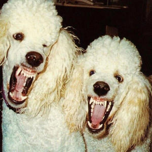 BENTLY SPUR (feat. Zukenee & Sk8star) (Explicit)