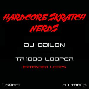 TR-1000 Looper (Extended Loops)