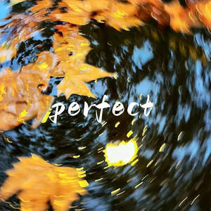 Perfect (Inst.)