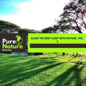 Slake the Deep Sleep With Nature, Vol. 2