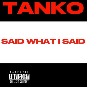 SAID WHAT I SAID (Explicit)